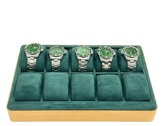 Professional Watch Vault